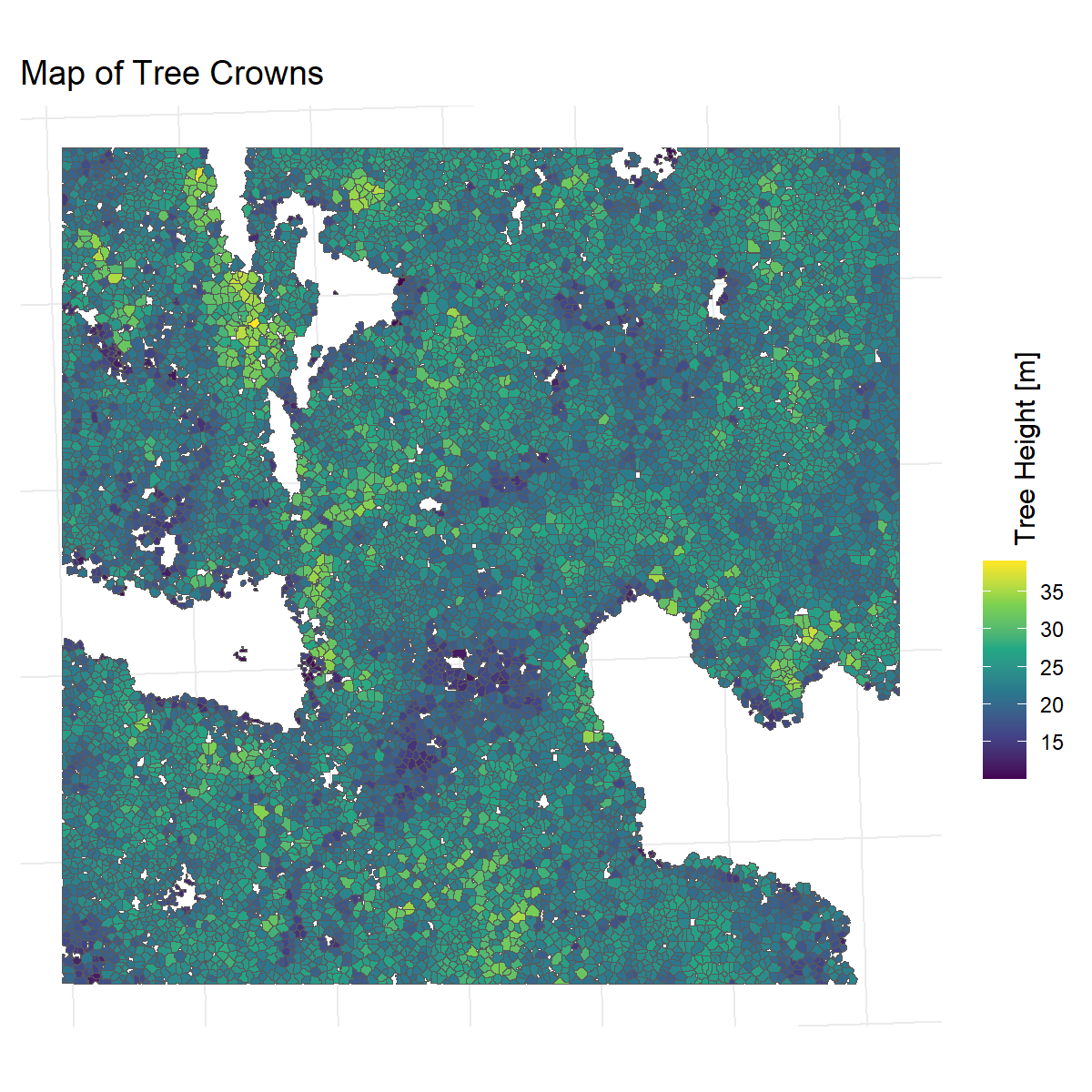 3_8_Map_of_Tree_Crowns