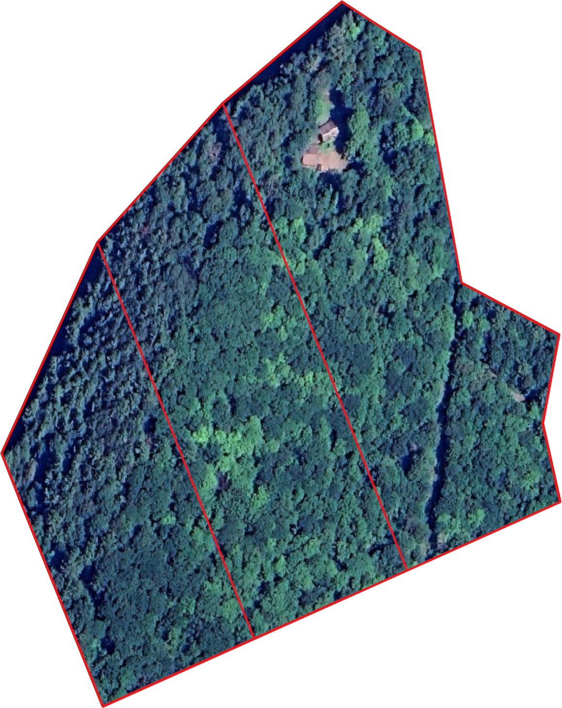 Before image